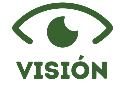 Visión